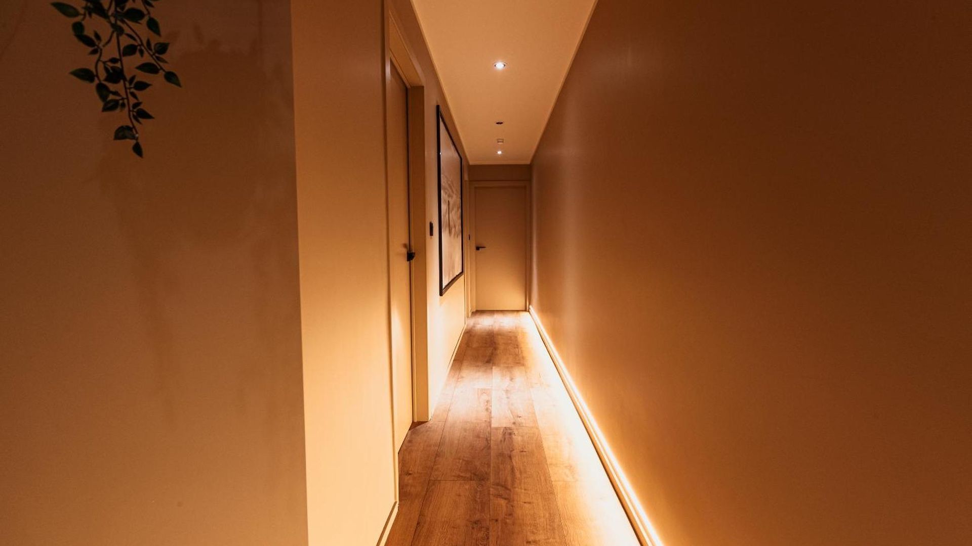Appartement Golden Dove Luxury Brussel