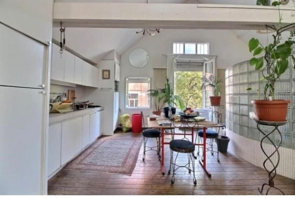Appartement Le Loft Des Artistes Brussel