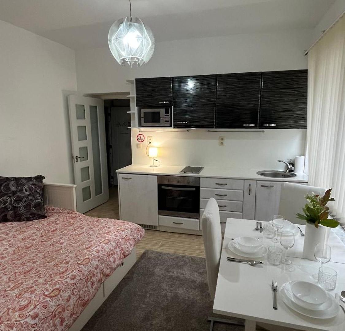 Apartment Two Bedroom Flat - Hyper Center Brussels