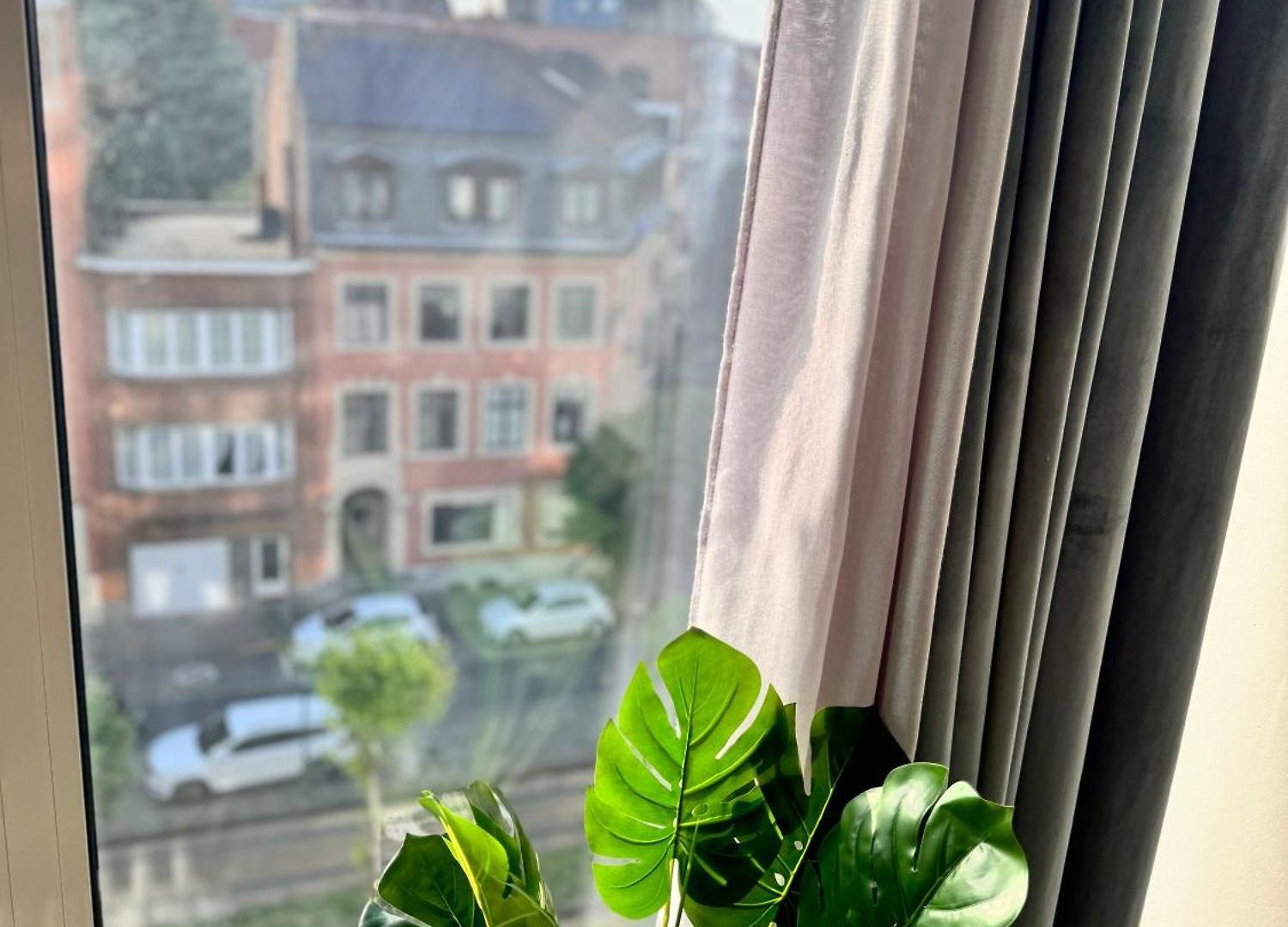 Luys * Brussels