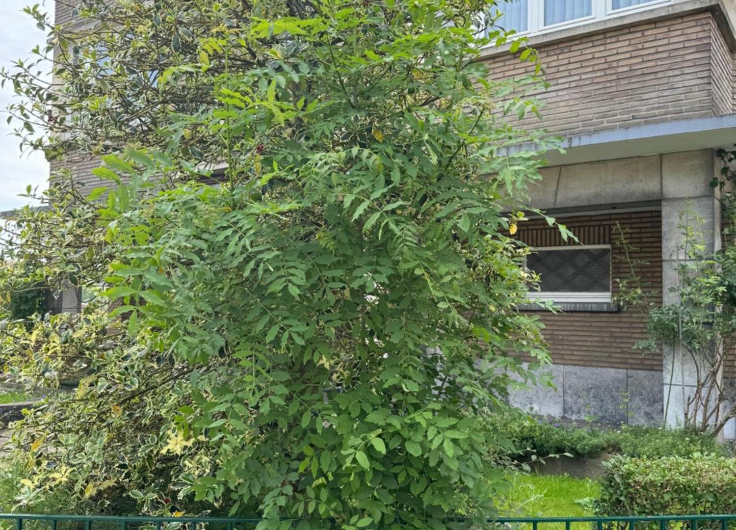 Apartment Ixelles 2 Chambres, 3 Lits Brussels