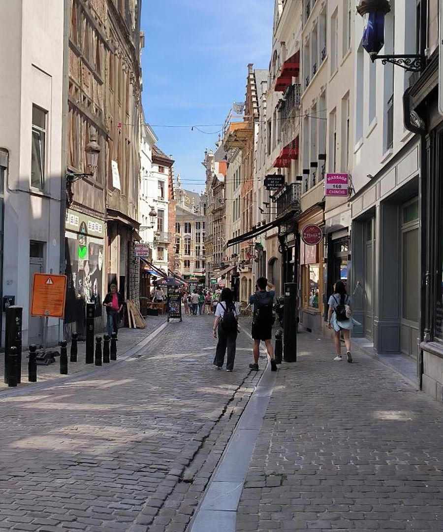 Appartement Marianne 2 Brussel