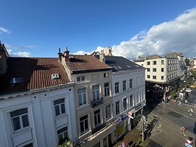Cosy Brussels