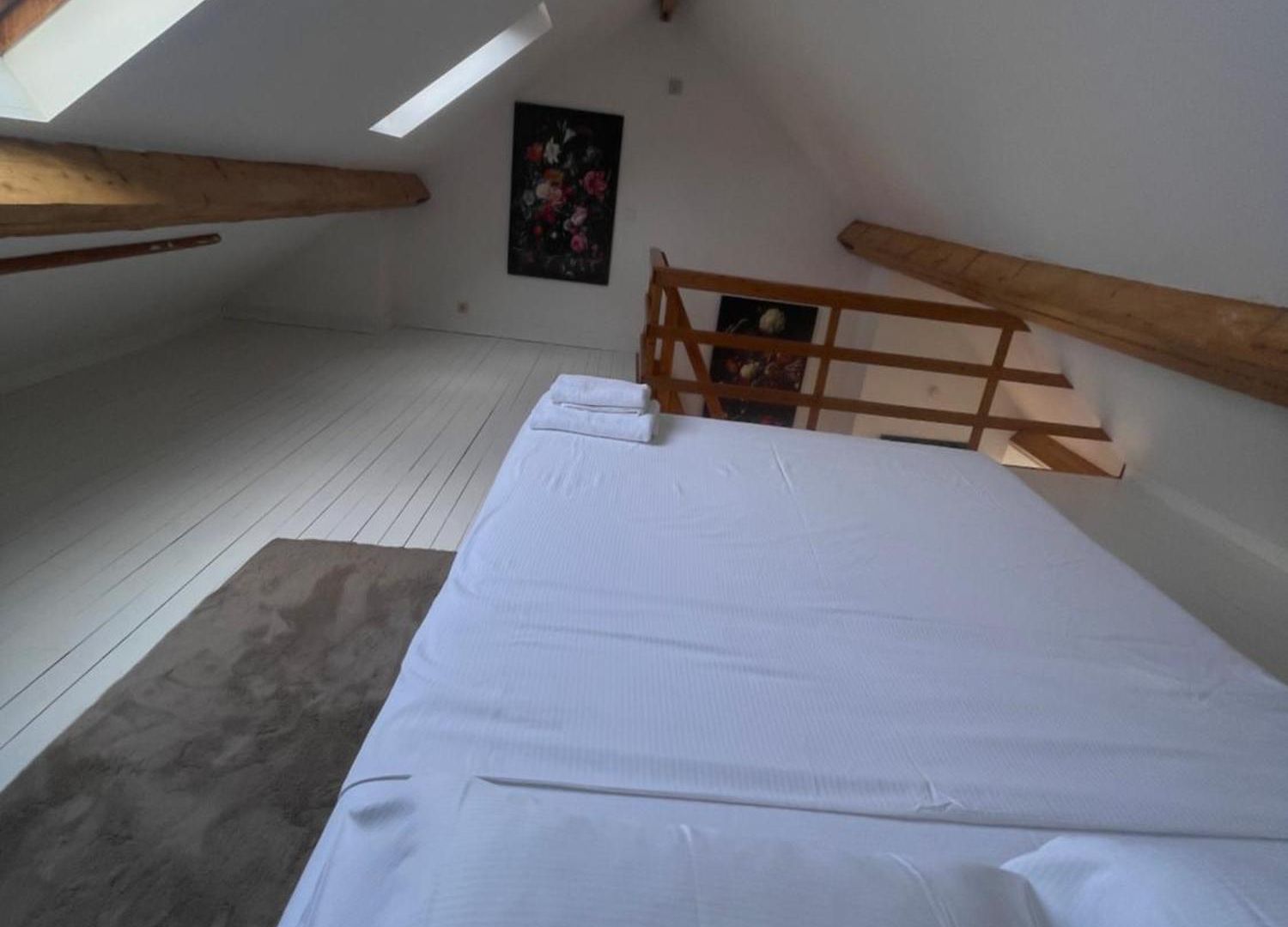 Apartment Attic European Quarter