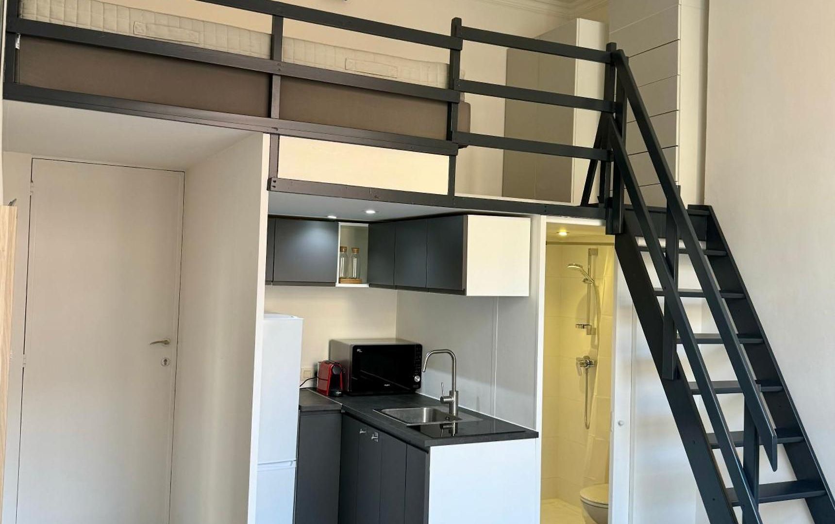 Apartment Avec En Mezzanine *
