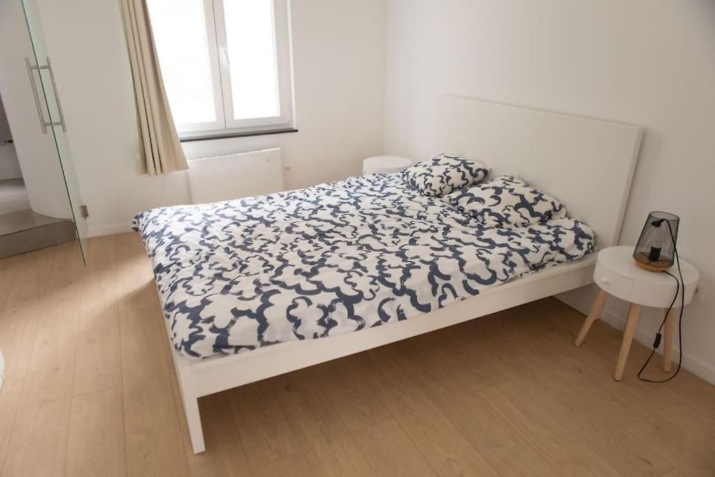 Proche Gare Du Midi Appartement Brussel