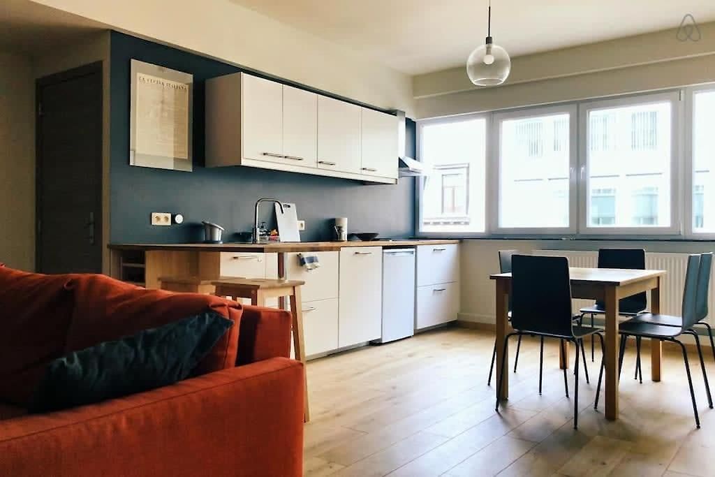 Fully Equipped Two Bedroom Schuman Area Brussels