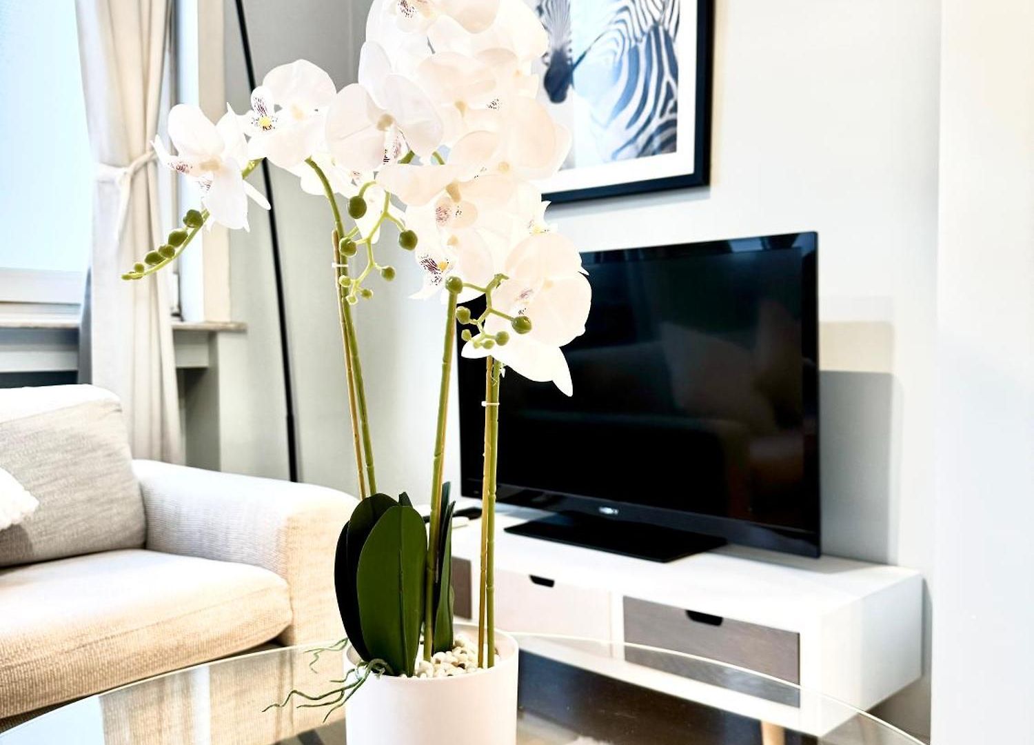 Apartment Beautiful 2 Bedroom Familiar Luxury Brussels