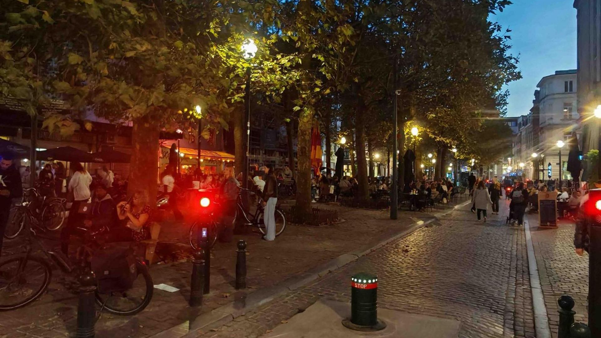 Sainte Catherine Whole Appartement *