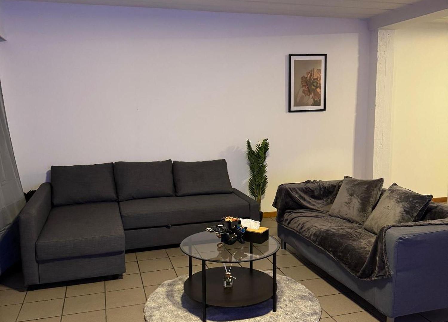 De Luxe Entierement Renove - Proche Aeroport De Bruxelles, Quartier Chic Apartment Brussels