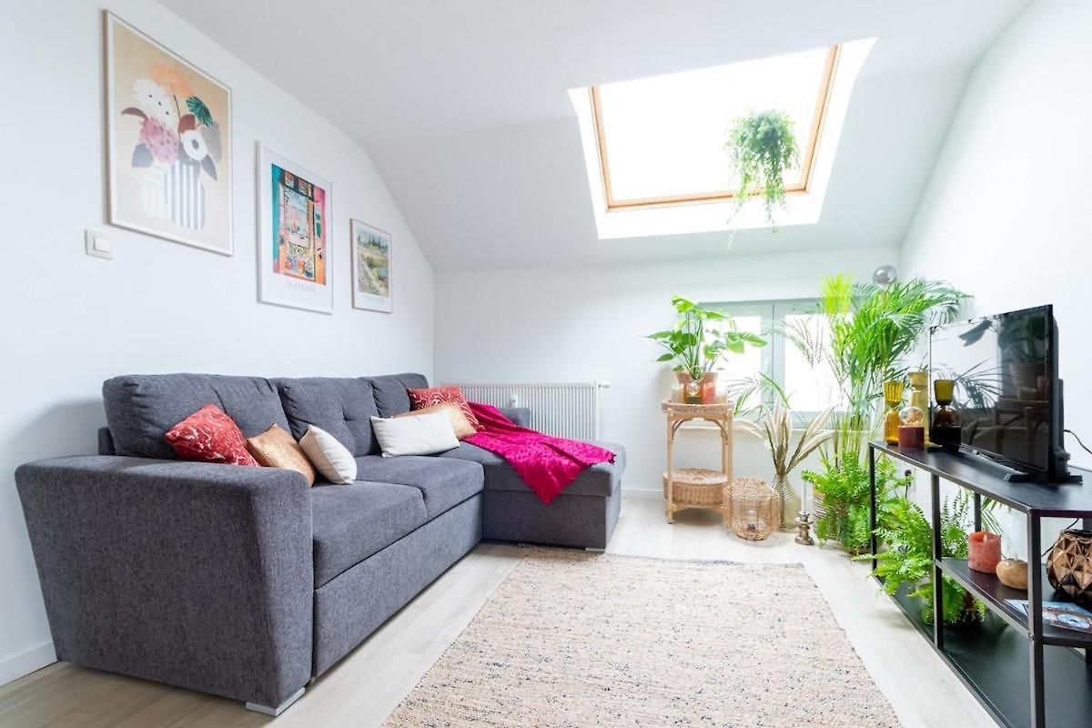 Appartement Cosy Et - Sejour Pro *
