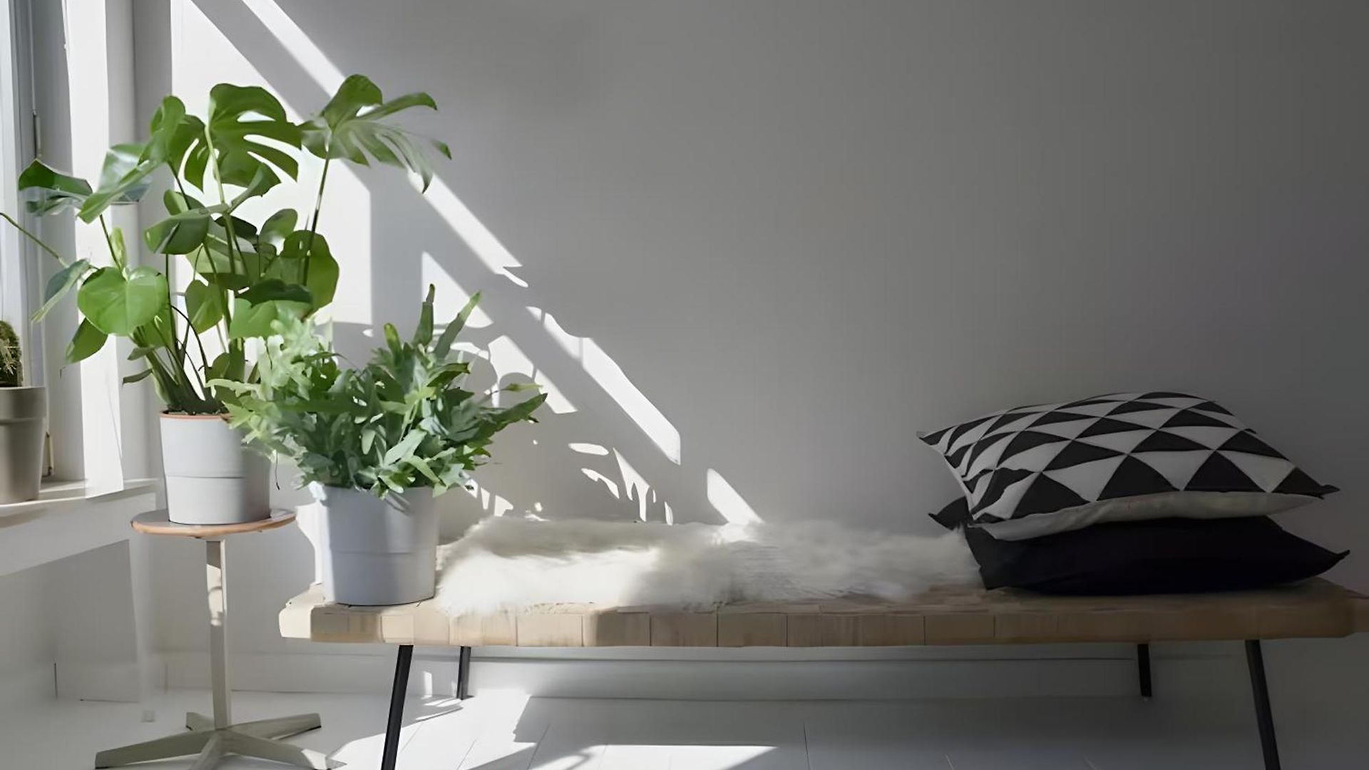 Peaceful Retreat * Brussels