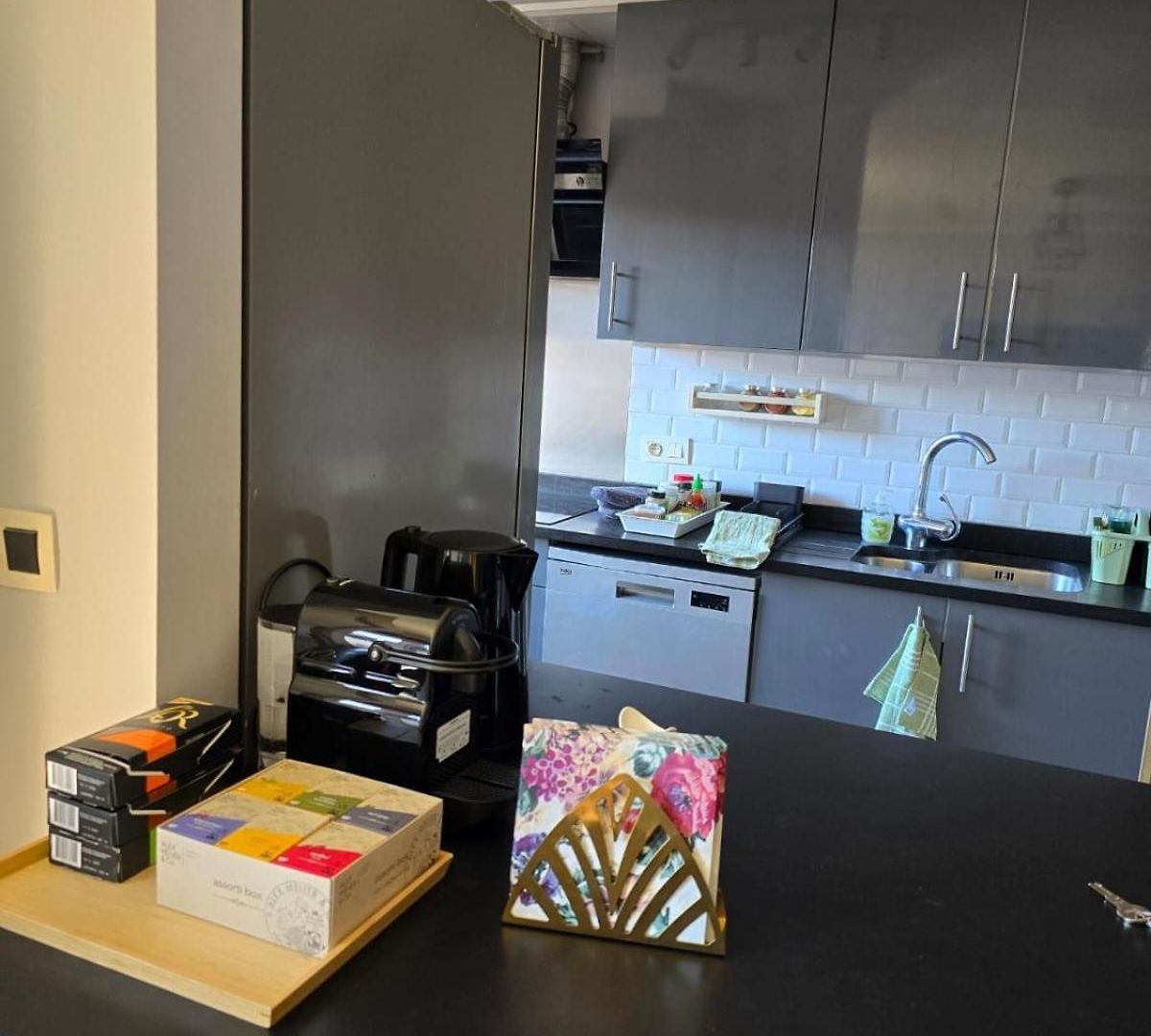 Strelitzyahouse Apartment Brussels