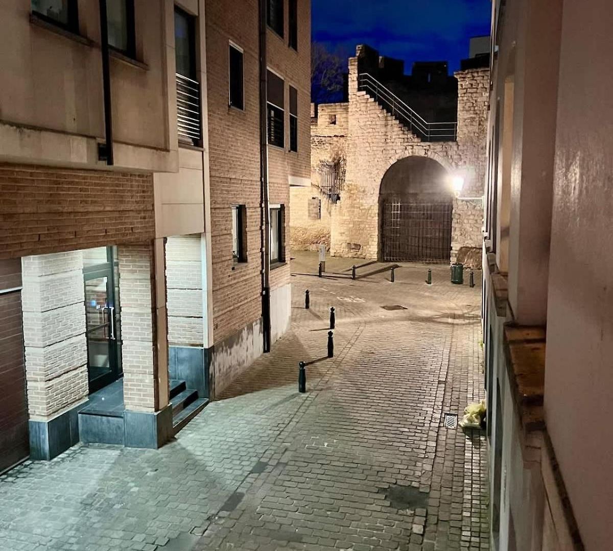 Loft Matyse - 3 Min To Manneken Pis Apartment