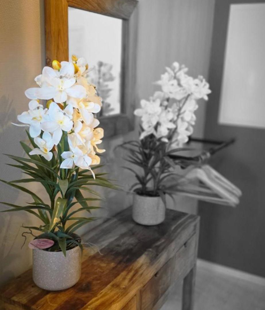 Appartement Cosy Jacqmain