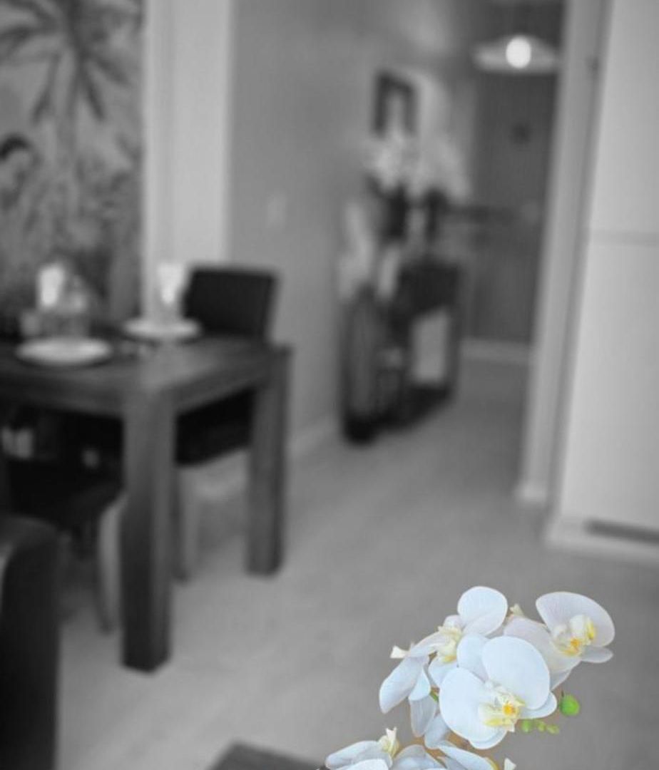 Cosy Appartement Brussel