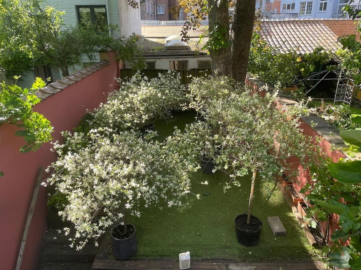 Appartement Le Flagey Place *