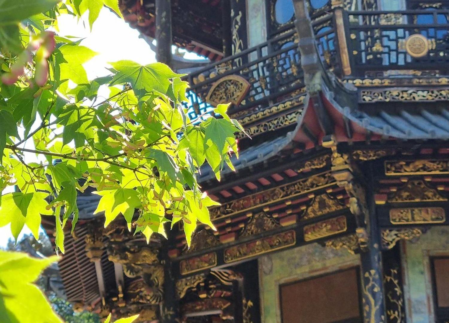 Chinese Pavilion Park - Magnificent Apartment