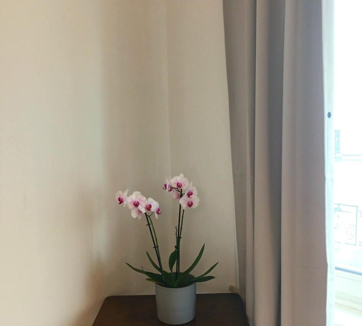 Beautiful 2 Bedroom In Place Flagey Bxl Brussels