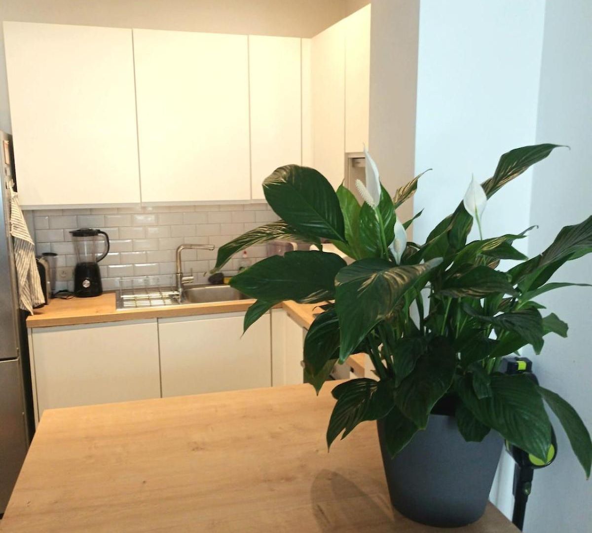 Apartment Beautiful 2 Bedroom In Place Flagey Bxl Brussels