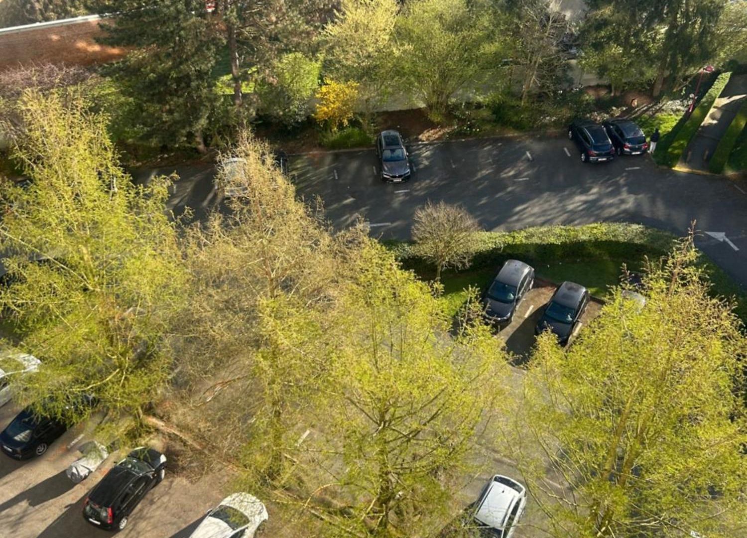 Pro * Brussels