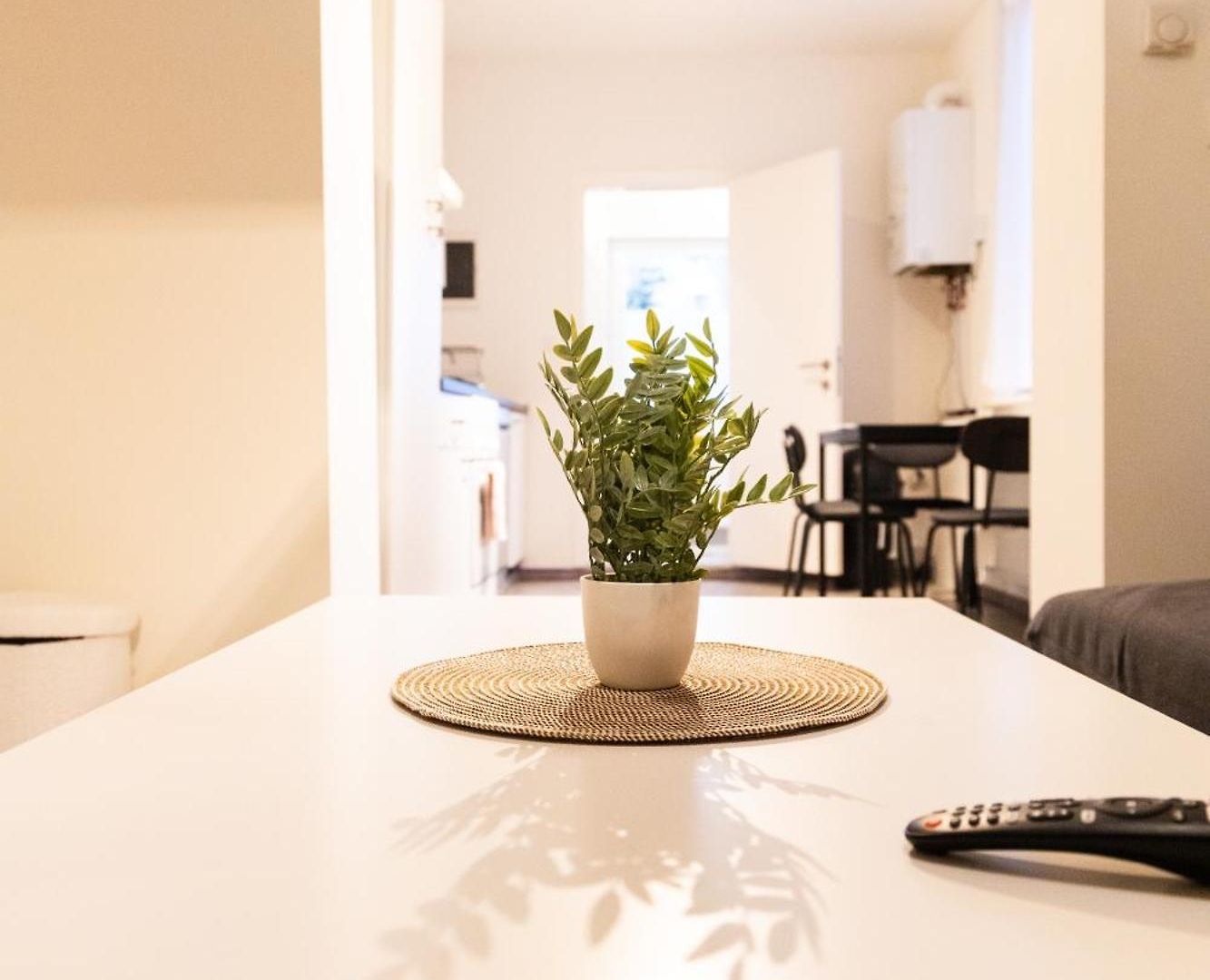 Sous Toit Lumineux Avec Garage Et 4 Pieces En Enfilade Brussel