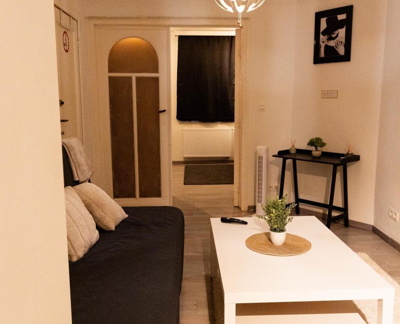 Sous Toit Lumineux Avec Garage Et 4 Pieces En Enfilade Appartement