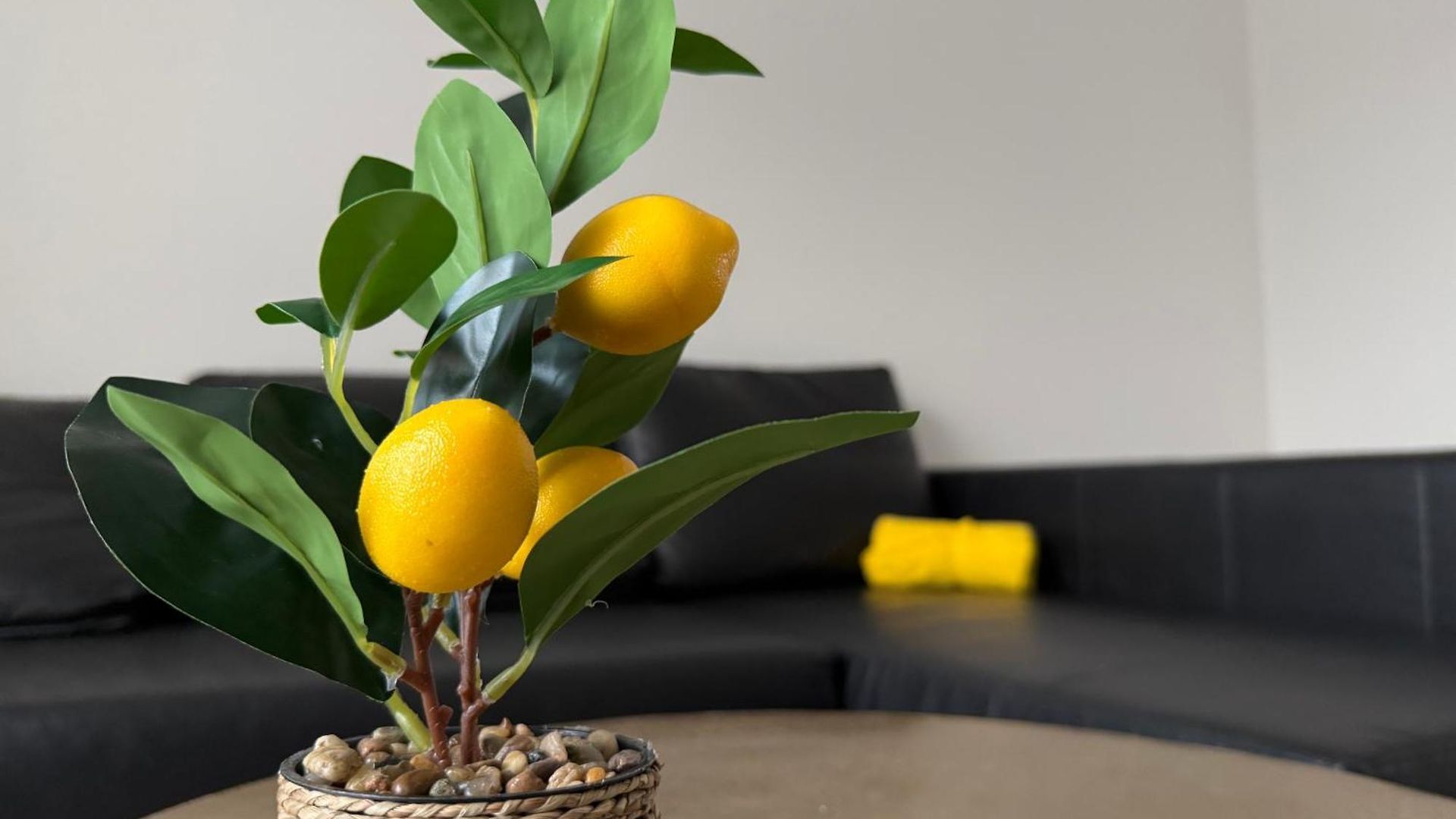 Oasis Apartment