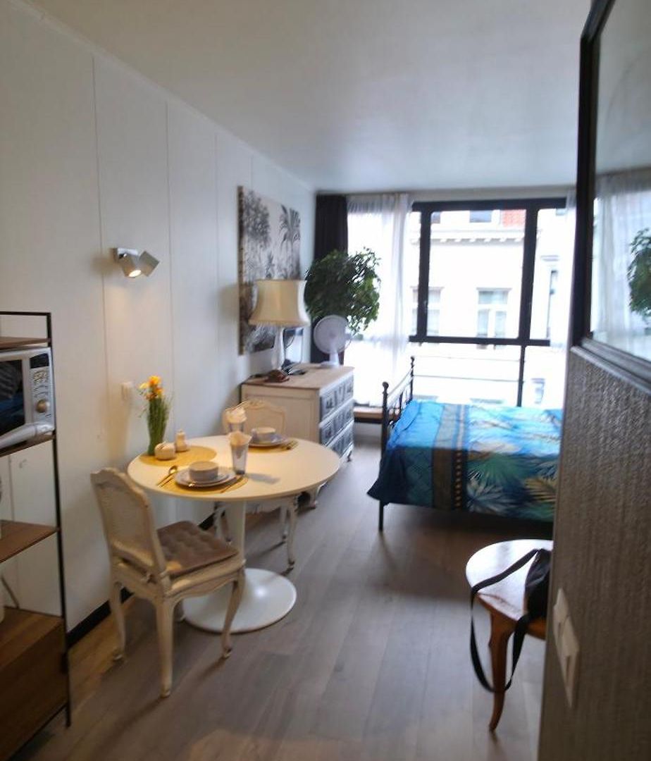 Apartment Classique Louise *