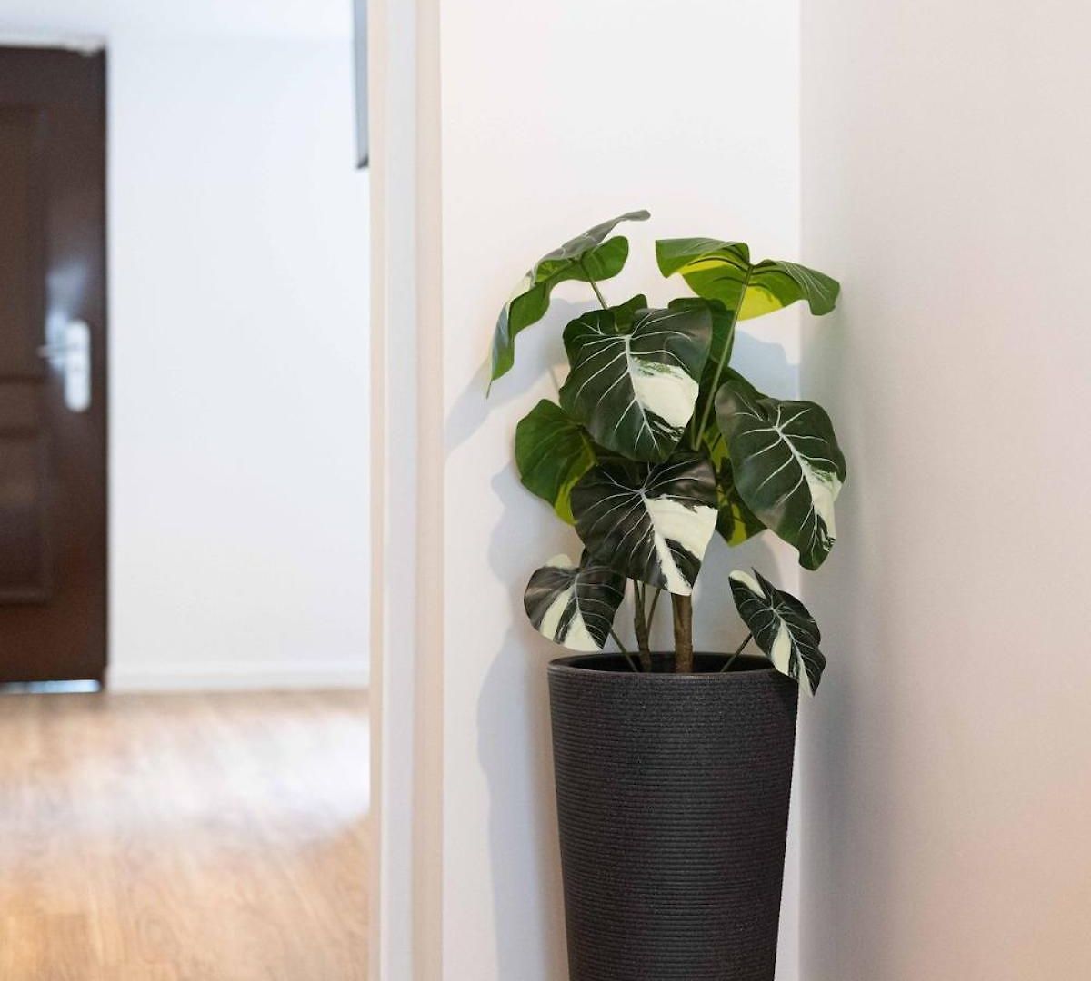 In Appartement *