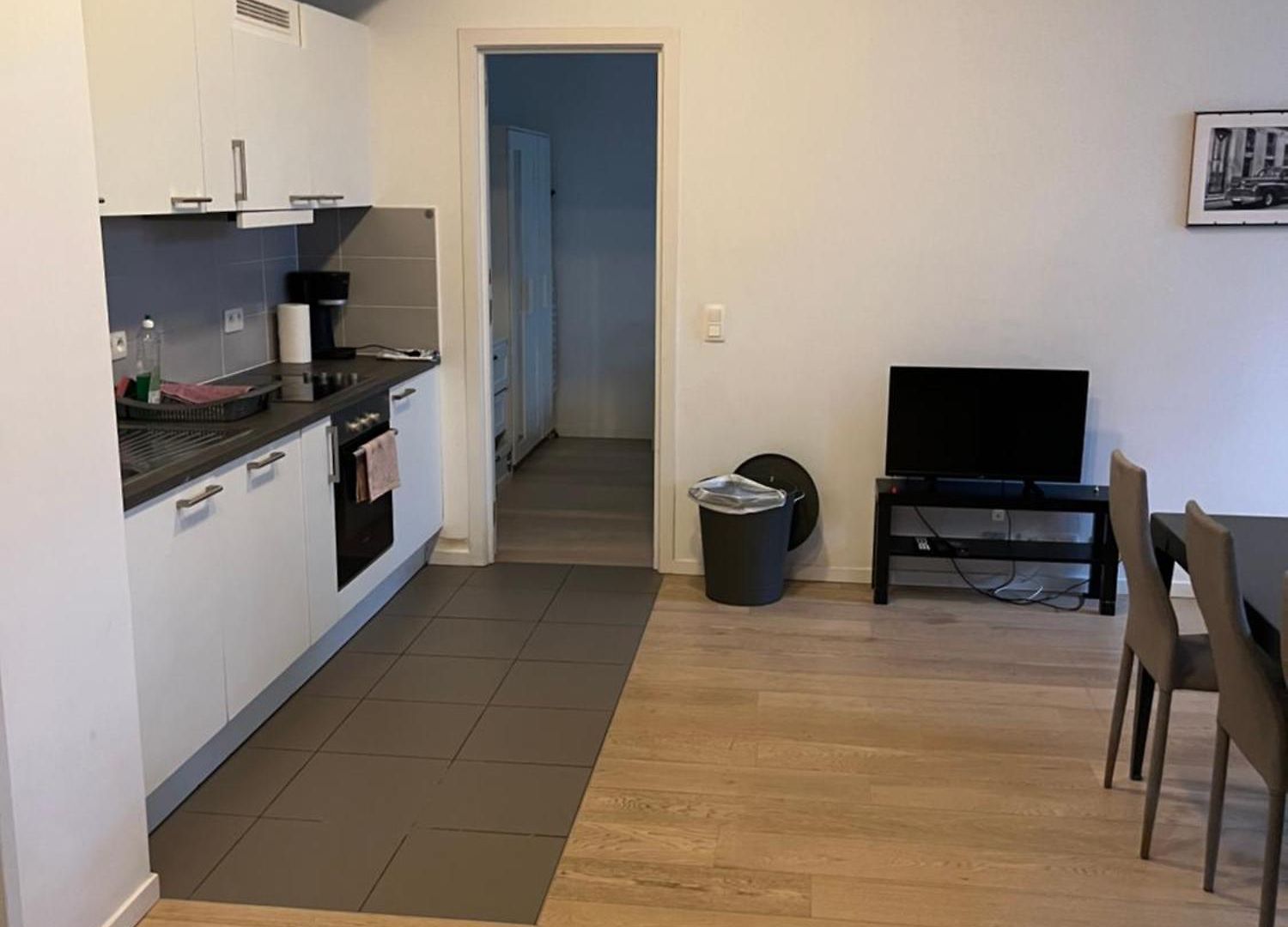 Apartment European Flat