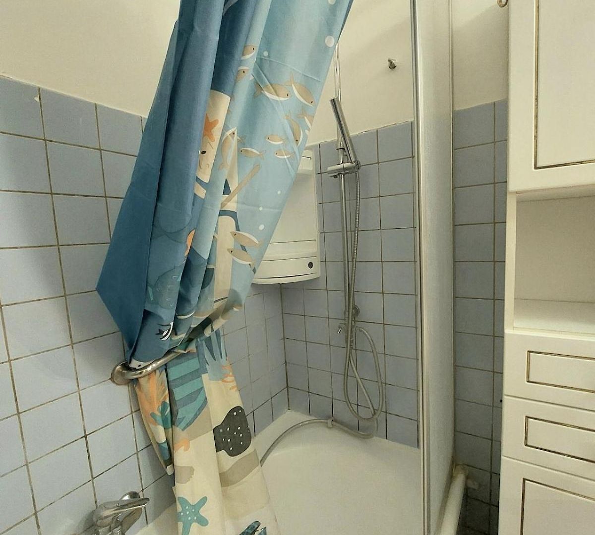 Large 1st Floor Apartment, Schaerbeek, Apartment Brussels
