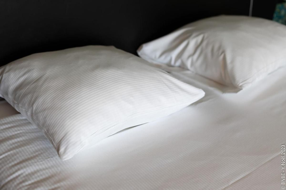 Ecstatic Living Ixelles, Luxury In The European Quarter Apartment Brussels