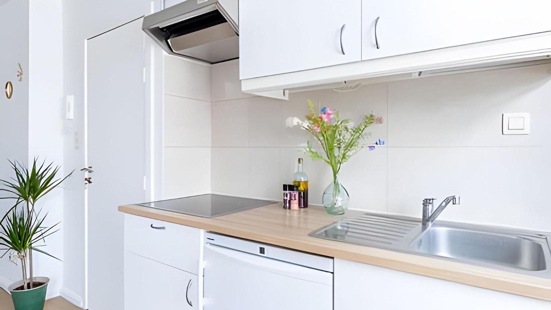 Lumineux, Ideal Pour Sejour Pro Apartment