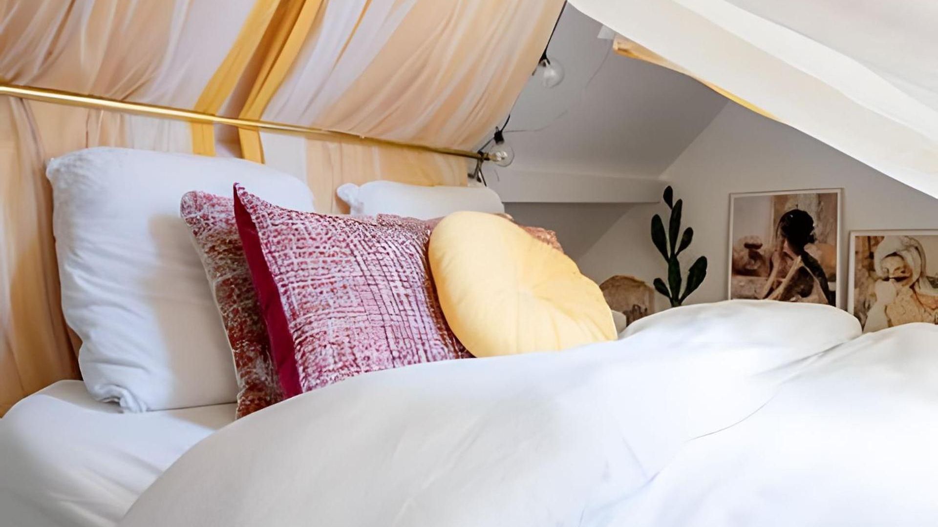 Cosy Et - Sejour Pro *