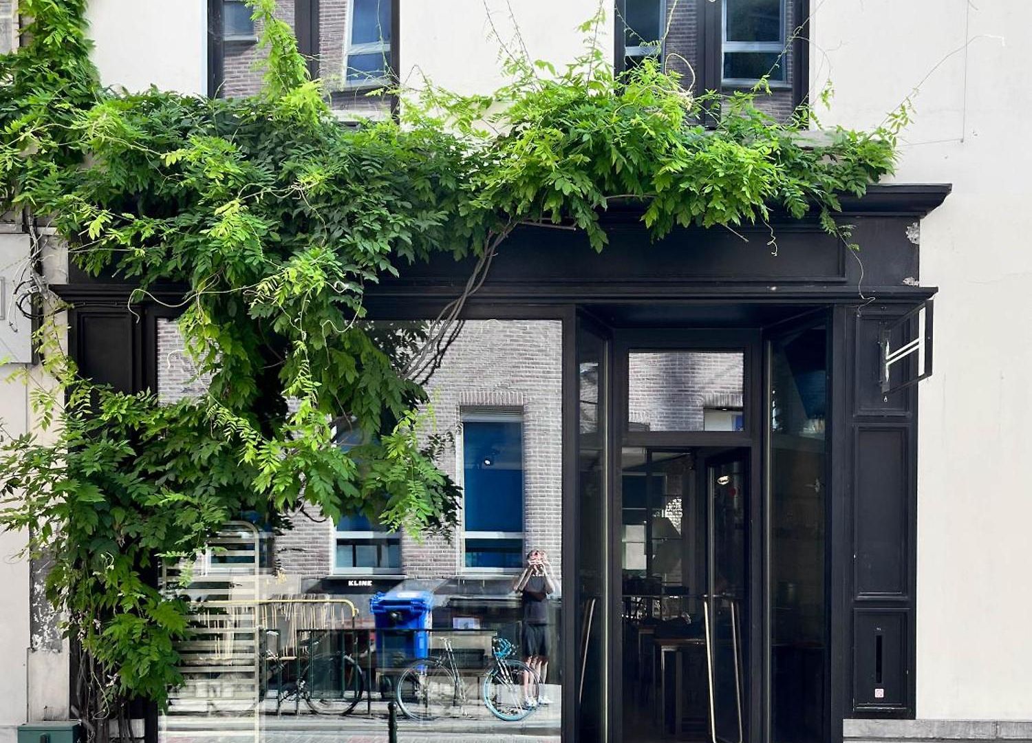 Teddy Picker Accommodatie bij particulieren Brussel