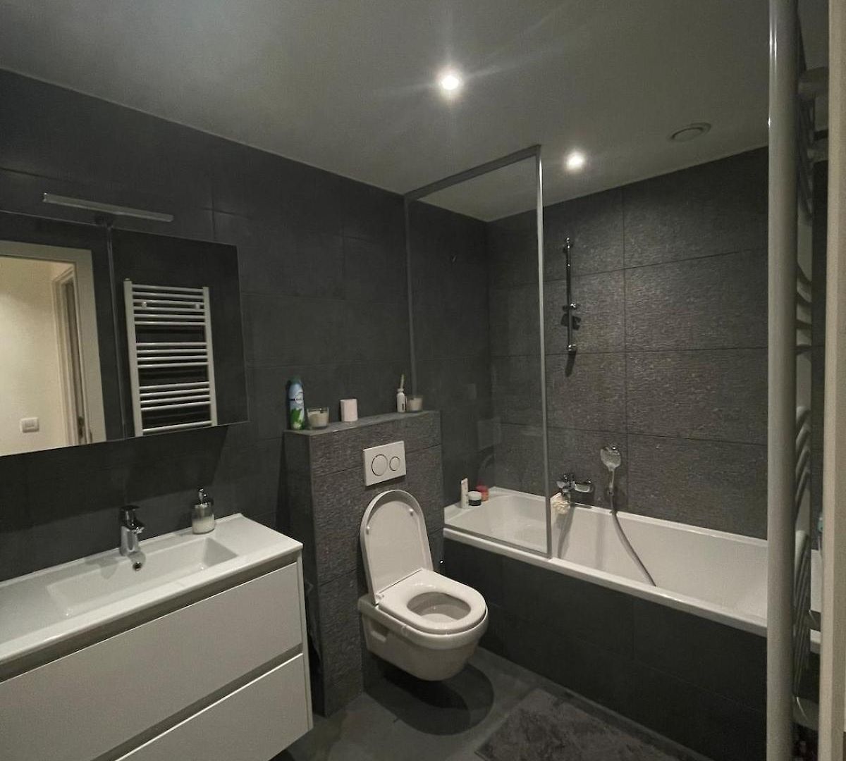 Refined With Terraces Apartment