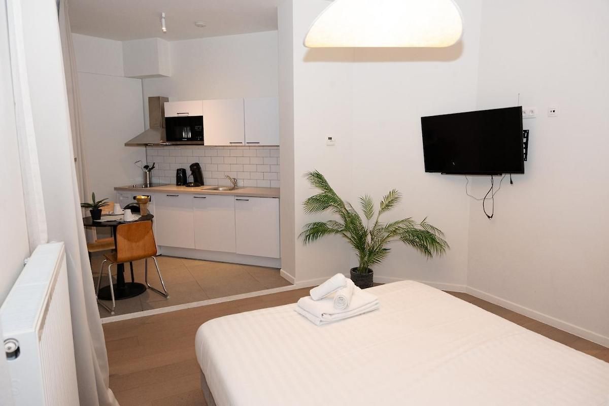 402 Avenue Louise Apartment Brussels