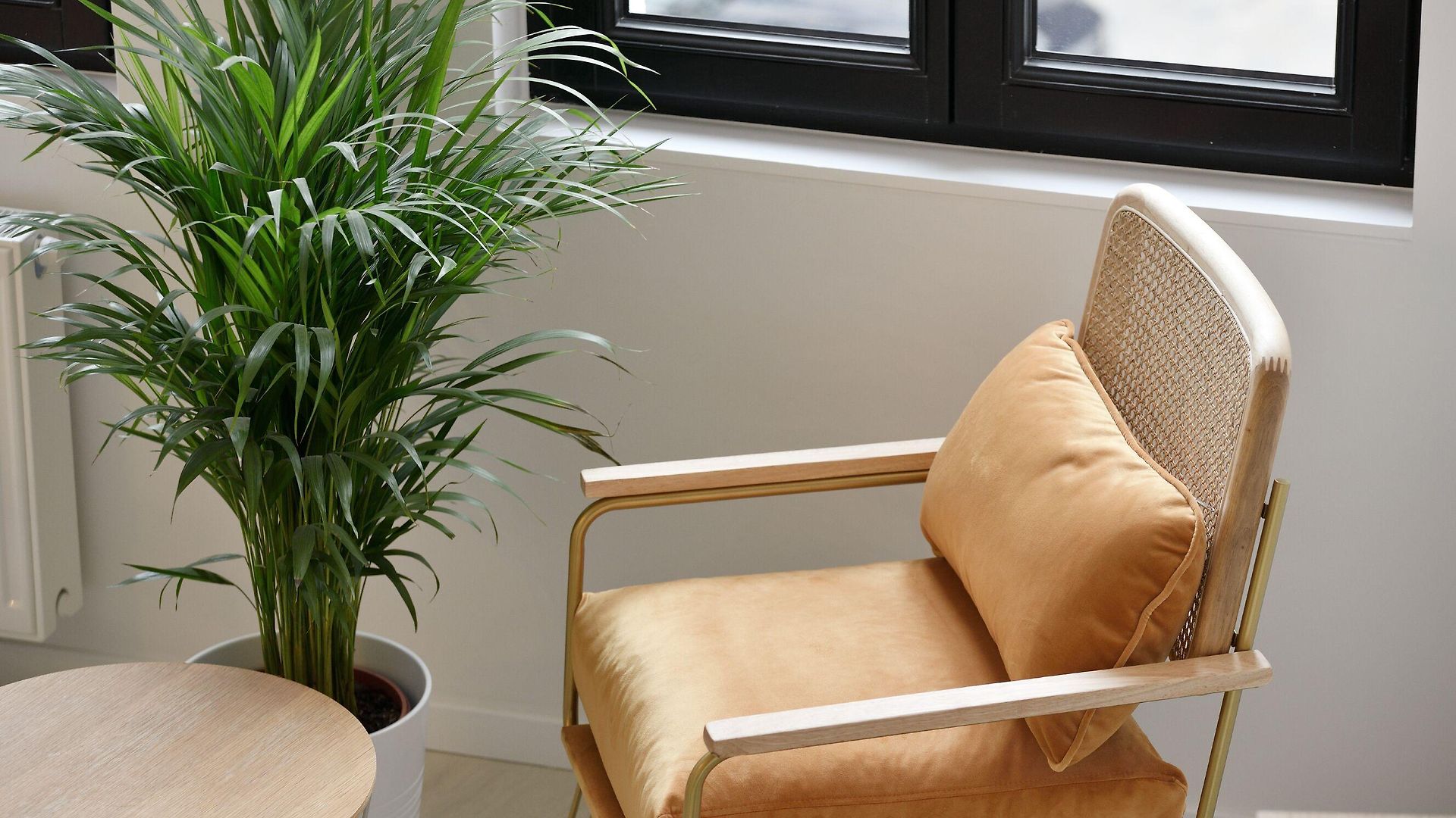 Urban Walls Bed & Breakfast Brussels