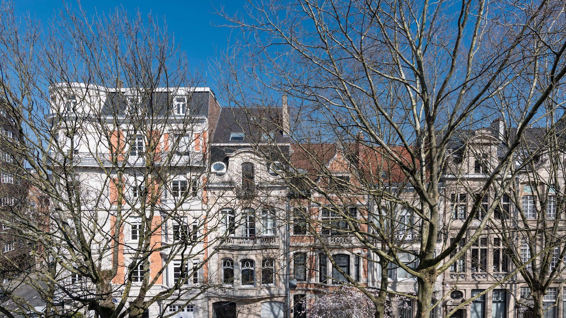 Moliere Design Brussels