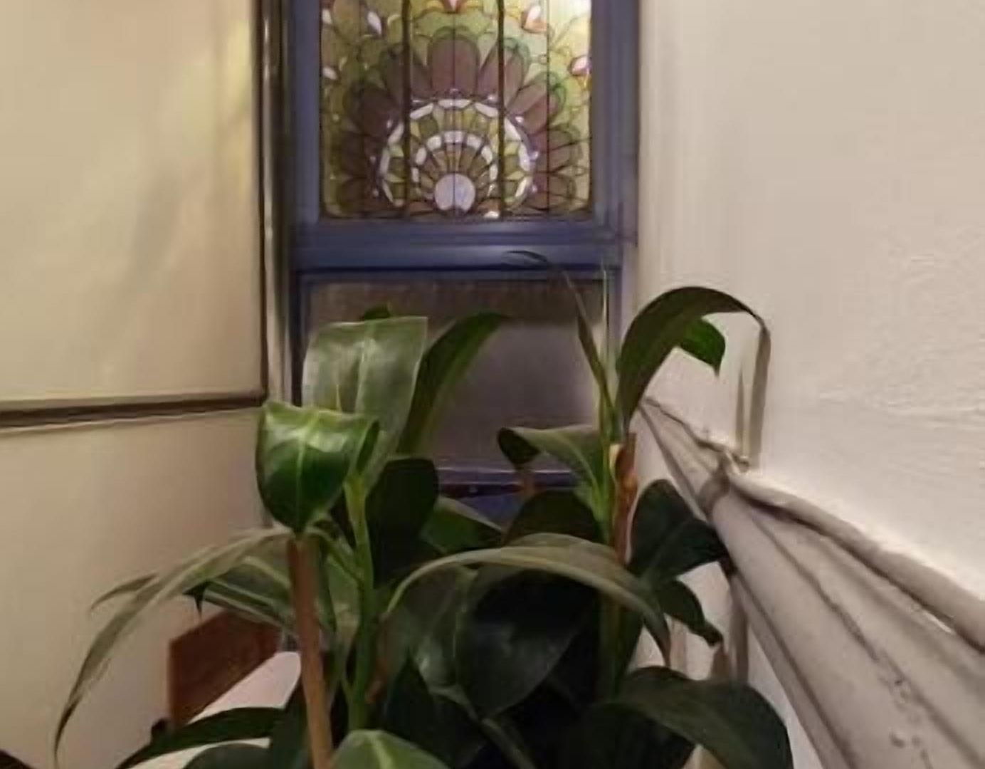 European District Guest house