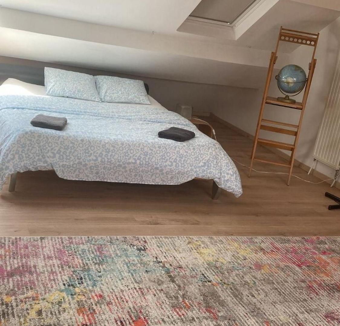 Big Cosy Family Duplex Near Grande Place Apartment Brussels