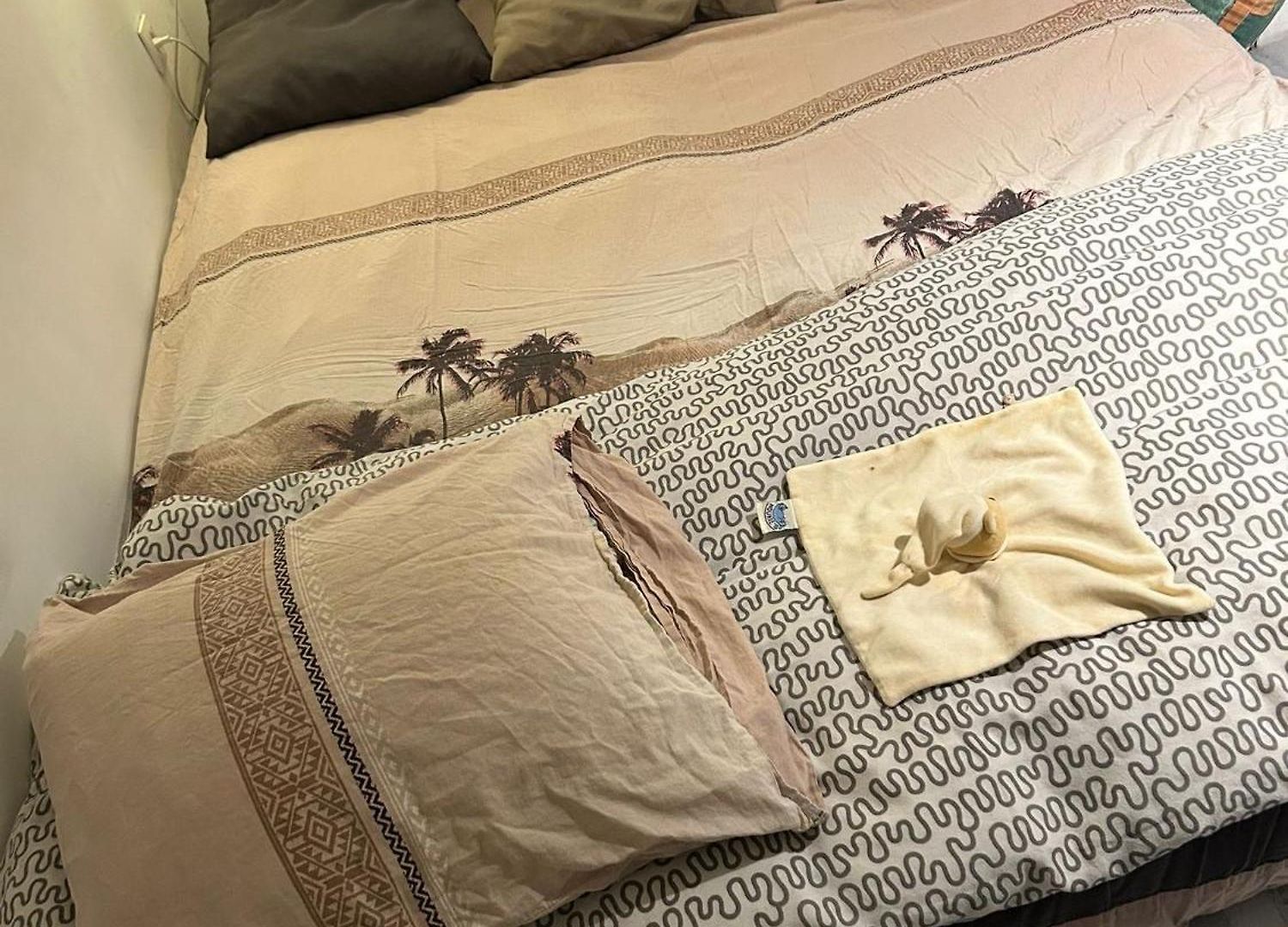 Homestay Belle De 1,30 Cm De Hauteur A Midi Brussels