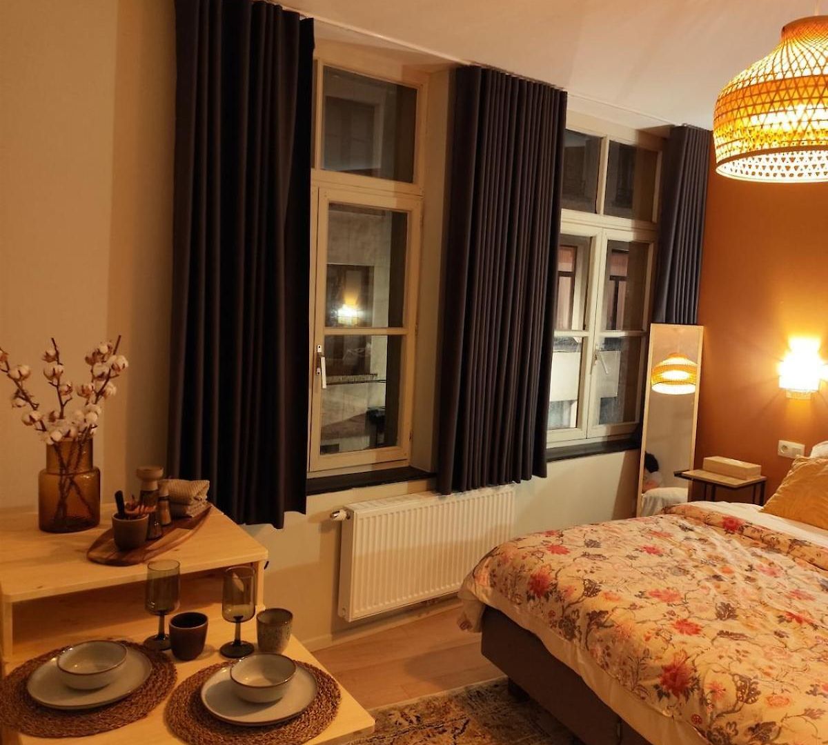 Apartment Cozy Renovated In