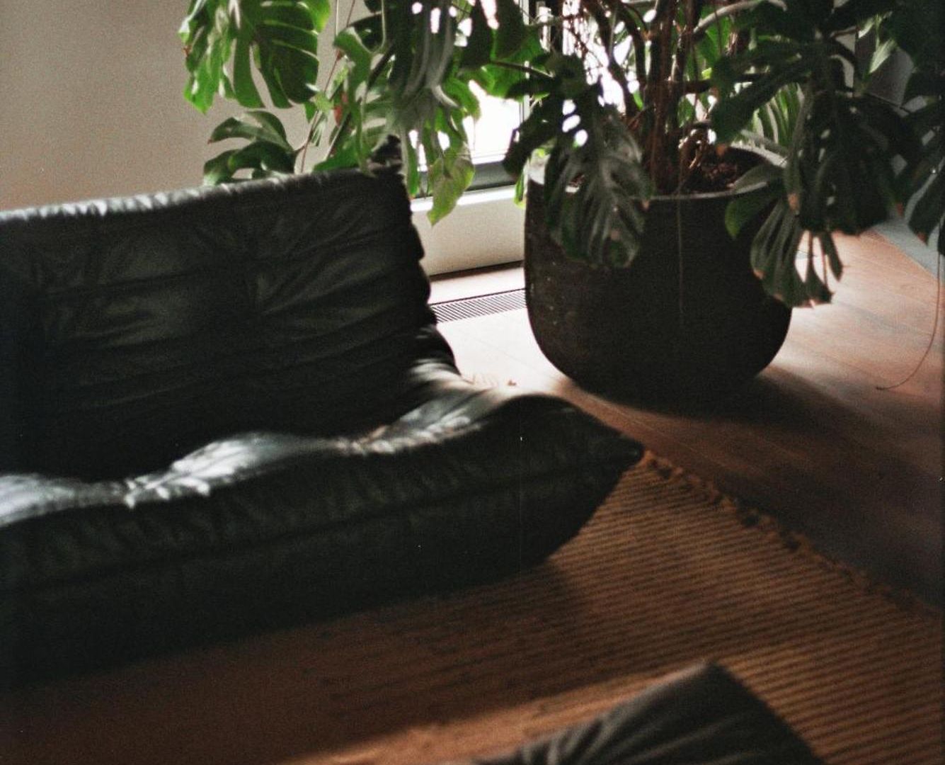 Teddy Picker Accommodatie bij particulieren Brussel