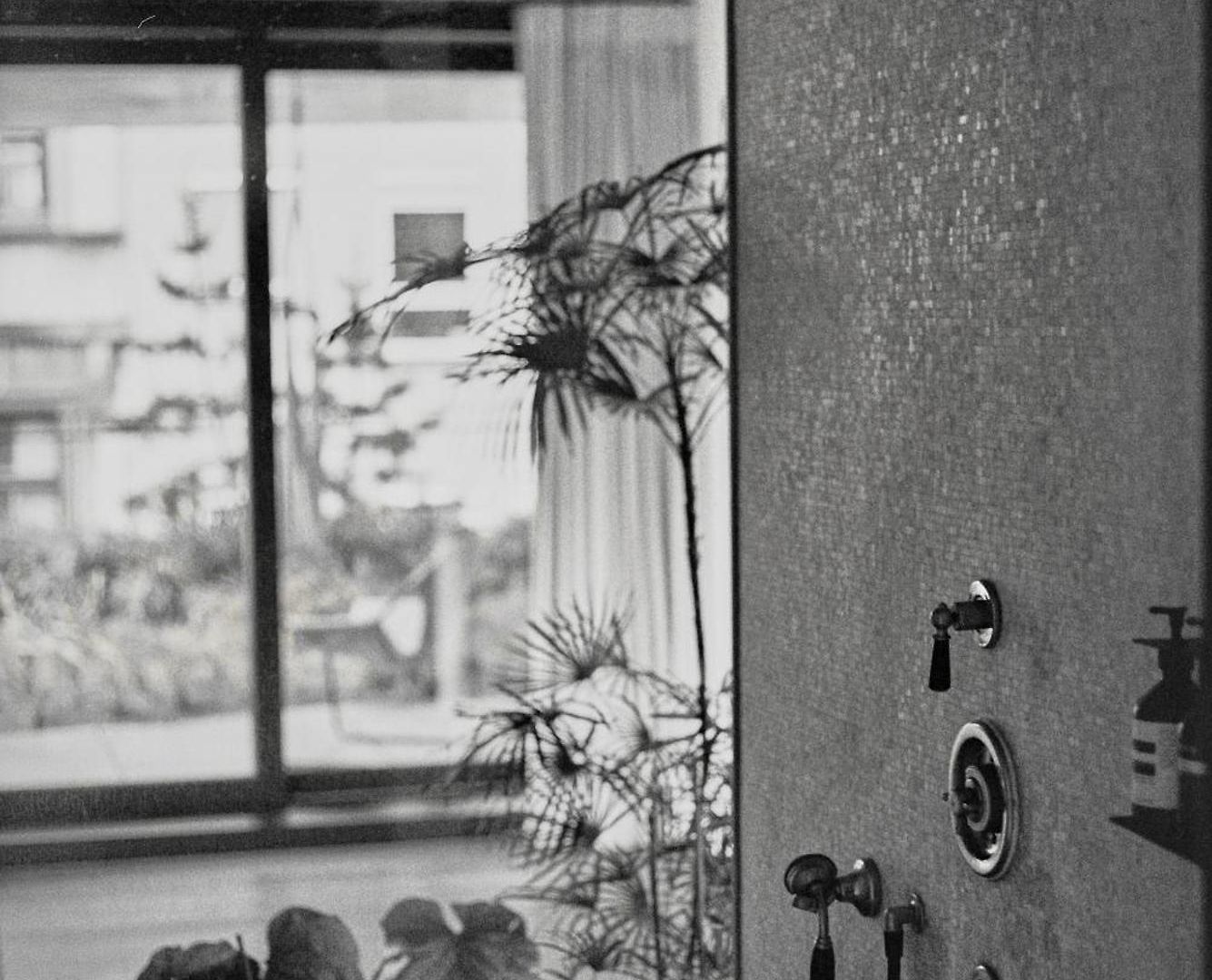 Teddy Picker Accommodatie bij particulieren Brussel