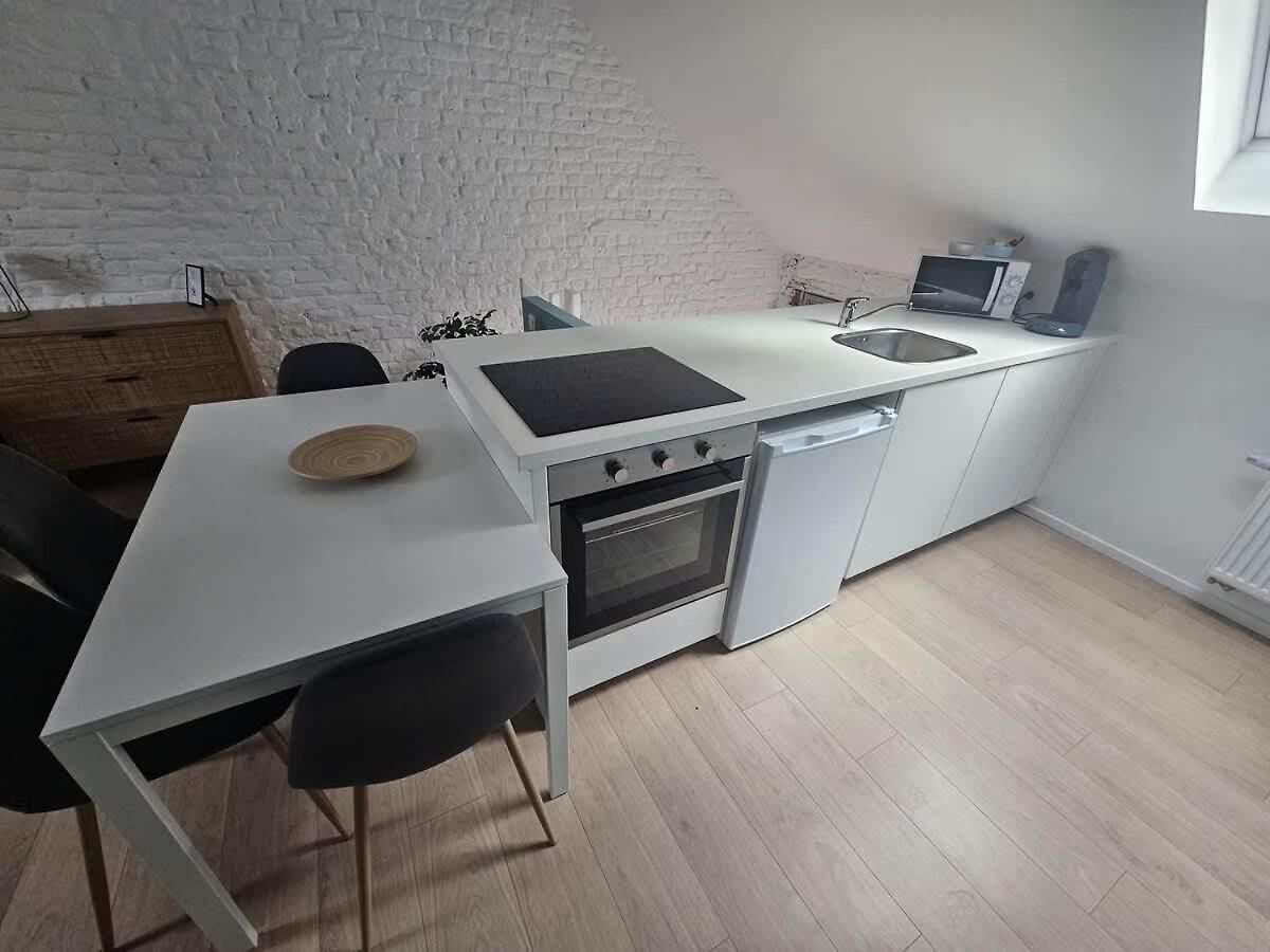 Apartment Design In Center Brussels