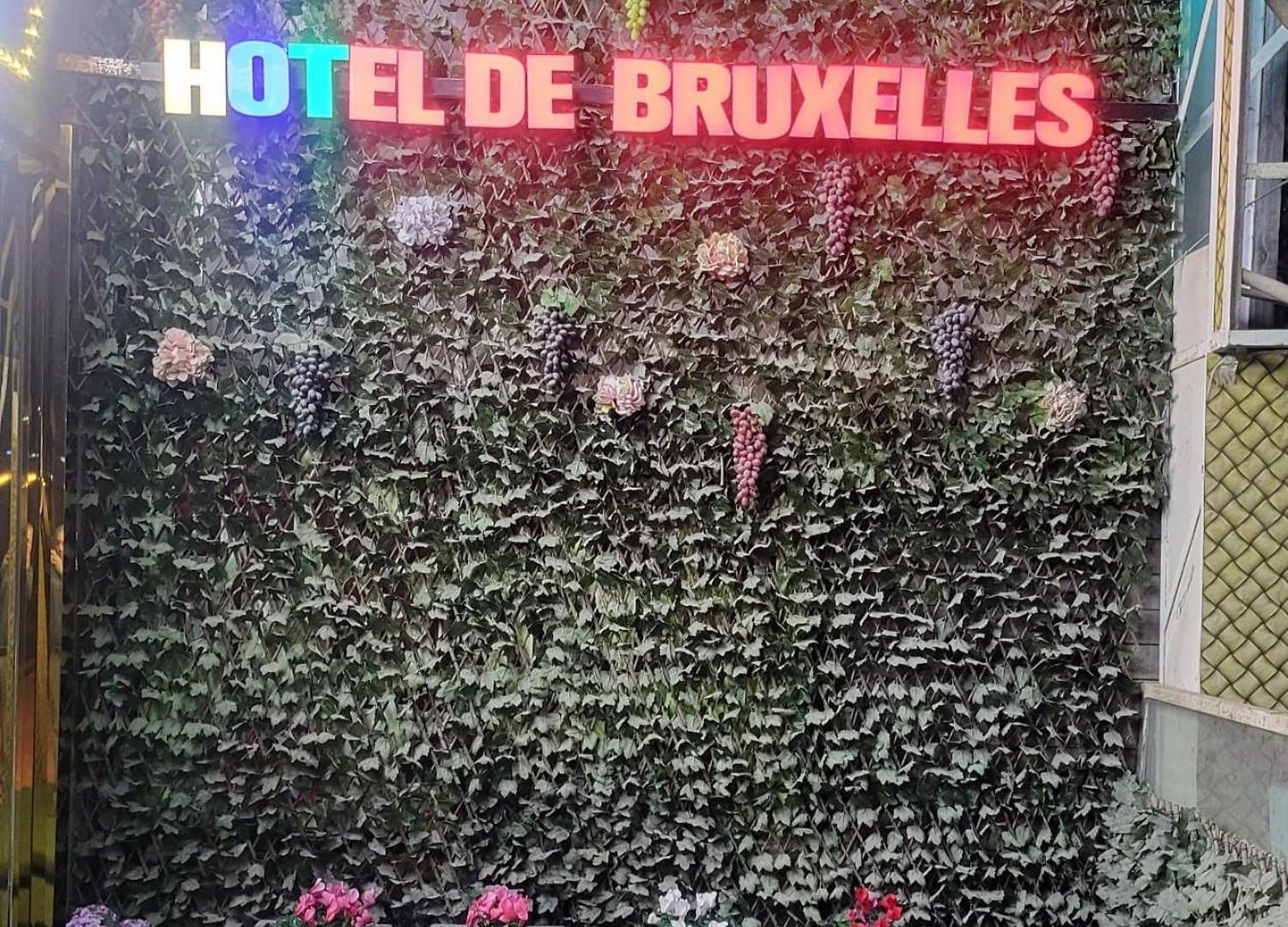 De Brussel