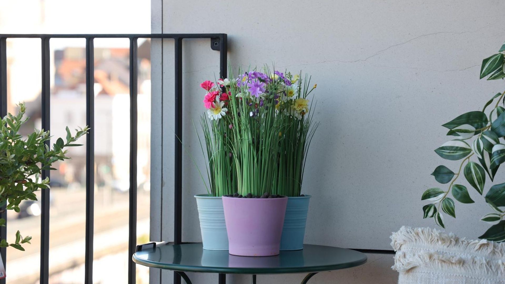Homestay Sur Le Quai Brussels