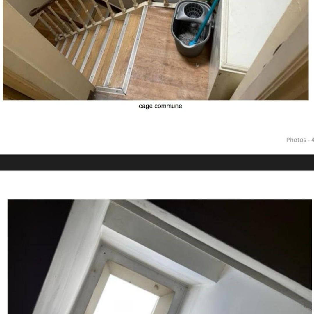 Hostel Trapmouse